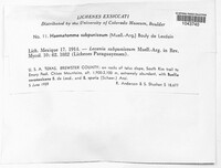 Image Associated With the Occurence